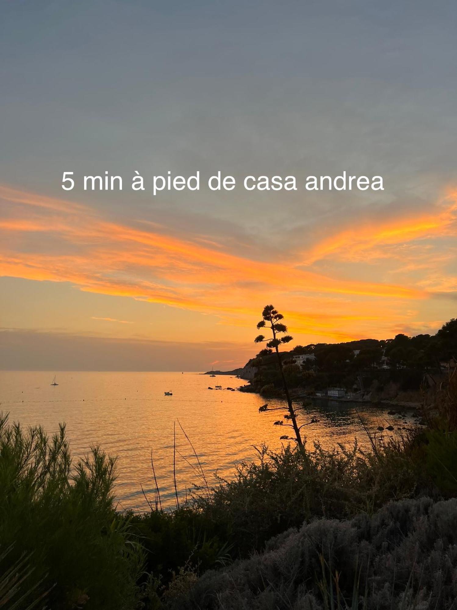 Casa Andrea Appartement Tout A Pied Avec Grand Jardin Санари-сюр-Мер Экстерьер фото